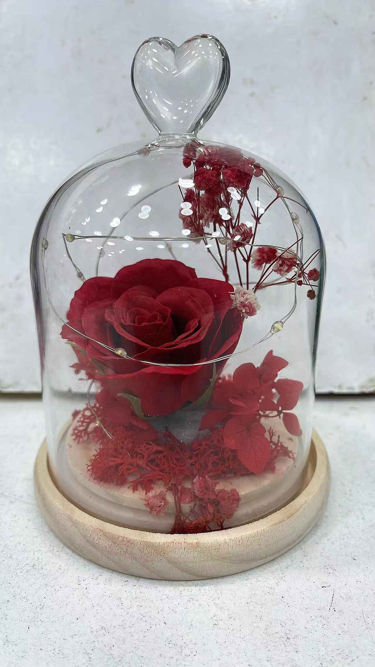 Ruza u staklenoj kupoli